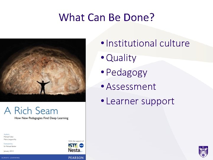 What Can Be Done? • Institutional culture • Quality • Pedagogy • Assessment •