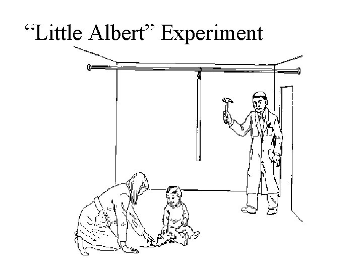 “Little Albert” Experiment 