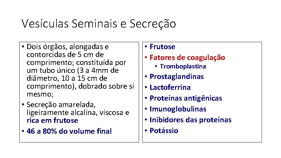 Vesículas Seminais e Secreção • Dois órgãos, alongadas e contorcidas de 5 cm de