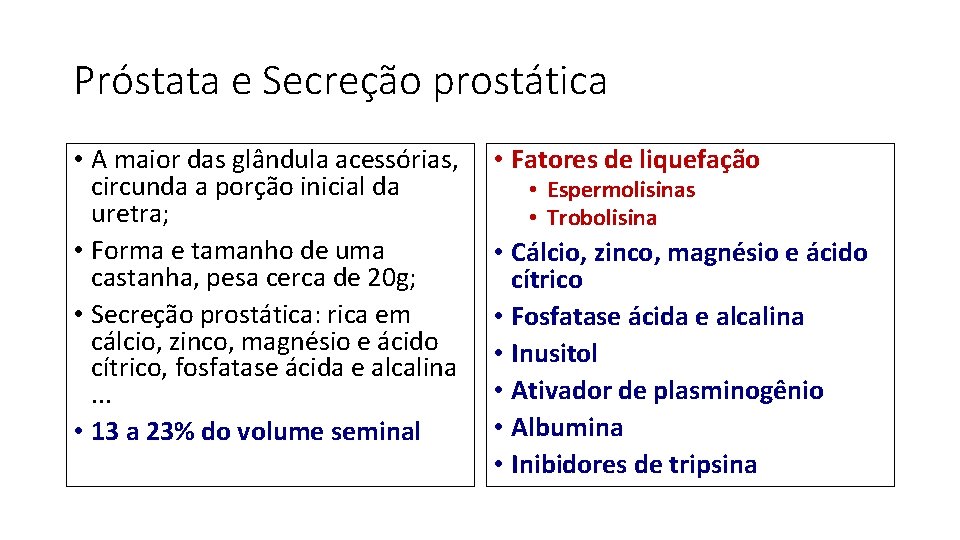 Próstata e Secreção prostática • A maior das glândula acessórias, circunda a porção inicial