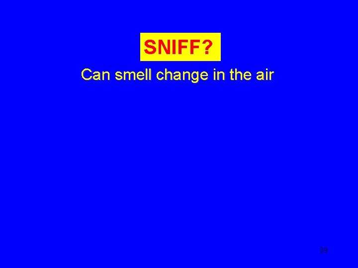 SNIFF? Can smell change in the air 39 