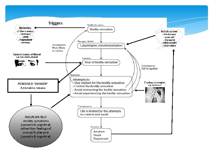 Triggers PERCEIVED “DANGER” Adrenaline release FOCUS ON SELF Anxiety symptoms (somatic & cognitive) rather