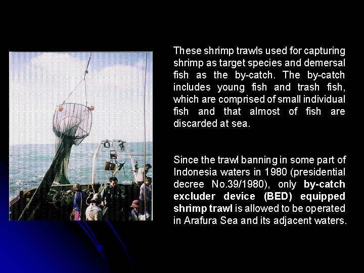 These shrimp trawls used for capturing shrimp as target species and demersal fish as