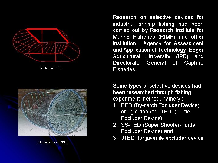 rigid hooped TED single-grid hard TED Research on selective devices for industrial shrimp fishing