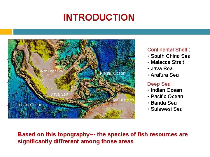 INTRODUCTION South China Sea Pacific Ocean Java Sea Arafura Sea Indian Ocean Continental Shelf