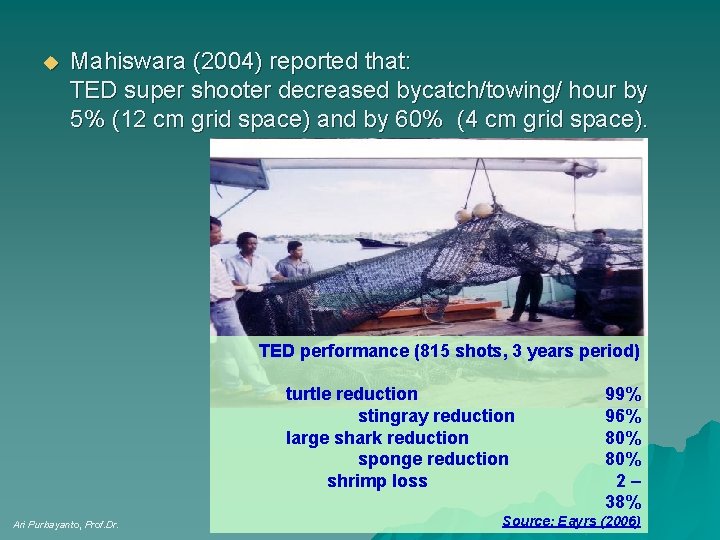 u Mahiswara (2004) reported that: TED super shooter decreased bycatch/towing/ hour by 5% (12