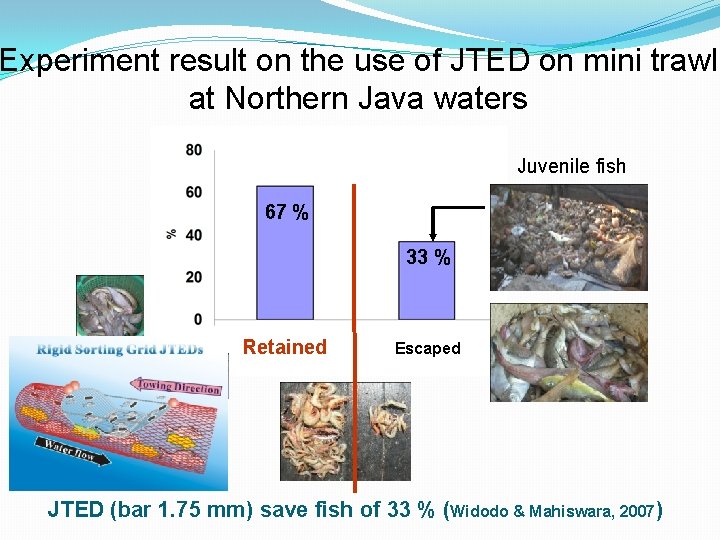 Experiment result on the use of JTED on mini trawl at Northern Java waters