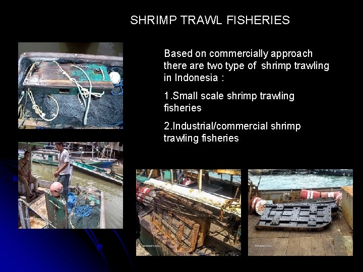 SHRIMP TRAWL FISHERIES Based on commercially approach there are two type of shrimp trawling