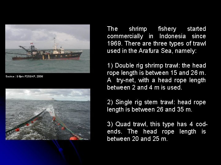 The shrimp fishery started commercially in Indonesia since 1969. There are three types of
