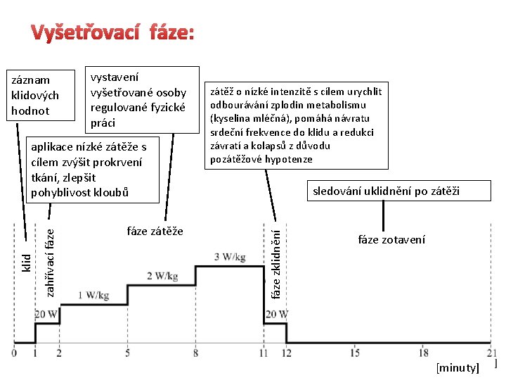 Vyšetřovací fáze: vystavení vyšetřované osoby regulované fyzické práci zahřívací fáze klid aplikace nízké zátěže