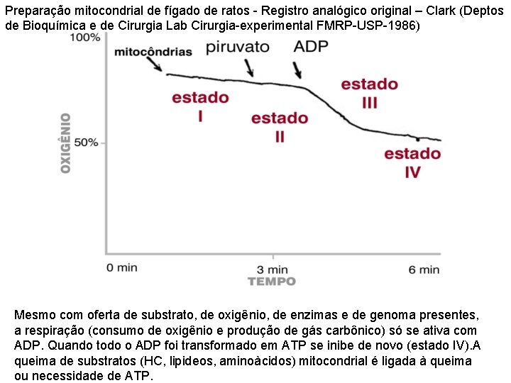 Preparação mitocondrial de fígado de ratos - Registro analógico original – Clark (Deptos de