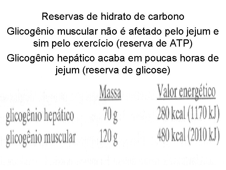 Reservas de hidrato de carbono Glicogênio muscular não é afetado pelo jejum e sim