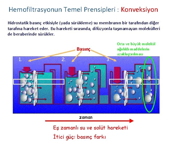 Hemofiltrasyonun Temel Prensipleri : Konveksiyon Hidrostatik basınç etkisiyle (yada sürükleme) su membranın bir tarafından