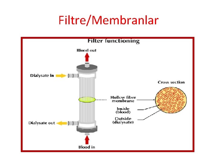 Filtre/Membranlar 