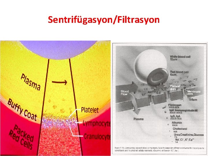 Sentrifügasyon/Filtrasyon 