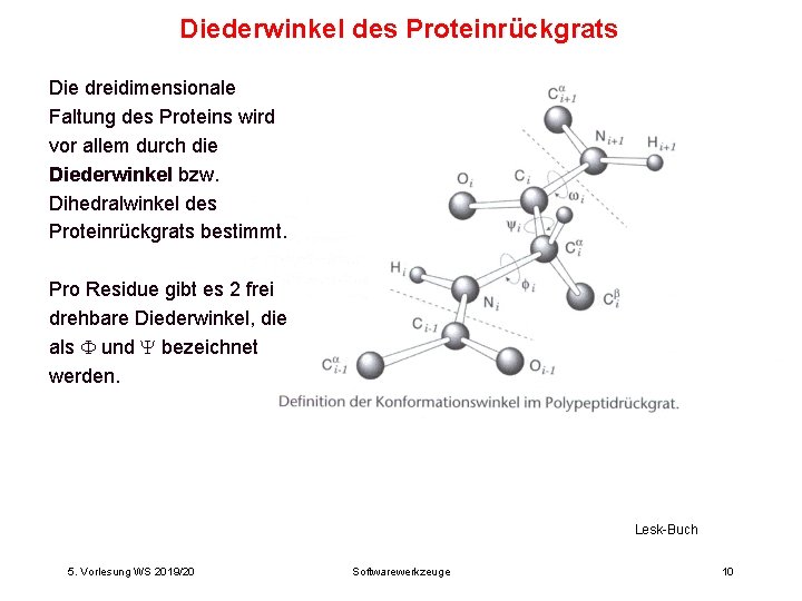 Diederwinkel des Proteinrückgrats Die dreidimensionale Faltung des Proteins wird vor allem durch die Diederwinkel