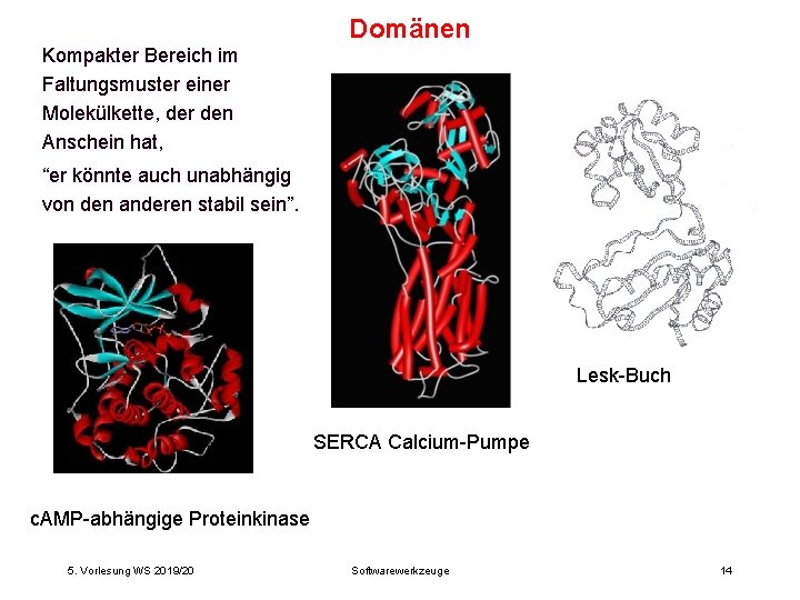 Domänen Kompakter Bereich im Faltungsmuster einer Molekülkette, der den Anschein hat, “er könnte auch