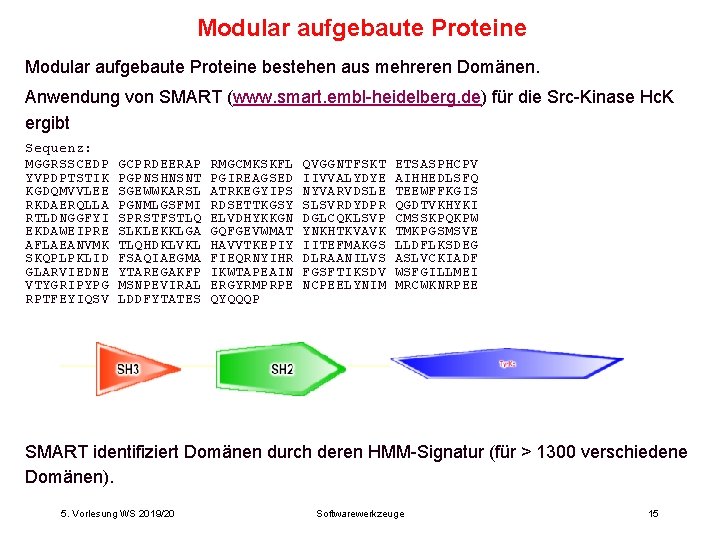 Modular aufgebaute Proteine bestehen aus mehreren Domänen. Anwendung von SMART (www. smart. embl-heidelberg. de)