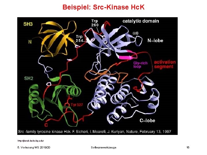 Beispiel: Src-Kinase Hc. K http: //jkweb. berkeley. edu/ 5. Vorlesung WS 2019/20 Softwarewerkzeuge 16