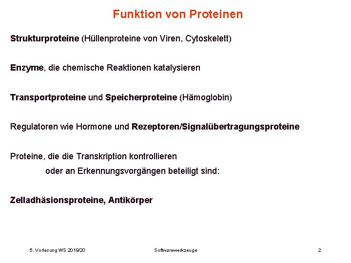 Funktion von Proteinen Strukturproteine (Hüllenproteine von Viren, Cytoskelett) Enzyme, die chemische Reaktionen katalysieren Transportproteine