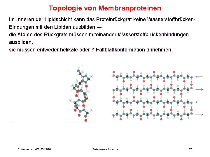 Topologie von Membranproteinen Im Inneren der Lipidschicht kann das Proteinrückgrat keine Wasserstoffbrücken. Bindungen mit