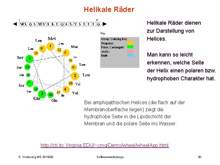 Helikale Räder dienen zur Darstellung von Helices. Man kann so leicht erkennen, welche Seite