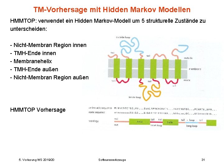 TM-Vorhersage mit Hidden Markov Modellen HMMTOP: verwendet ein Hidden Markov-Modell um 5 strukturelle Zustände