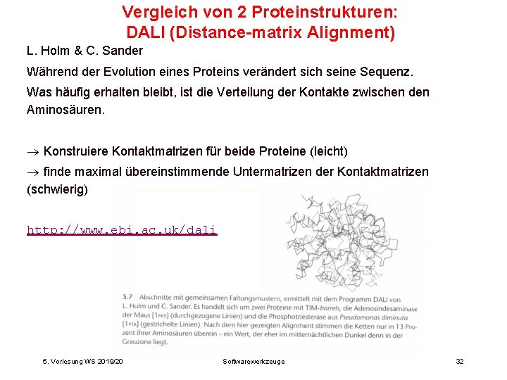 Vergleich von 2 Proteinstrukturen: DALI (Distance-matrix Alignment) L. Holm & C. Sander Während der