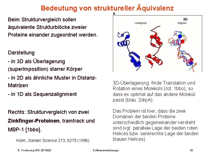 Bedeutung von struktureller Äquivalenz Beim Strukturvergleich sollen äquivalente Strukturblöcke zweier Proteine einander zugeordnet werden.