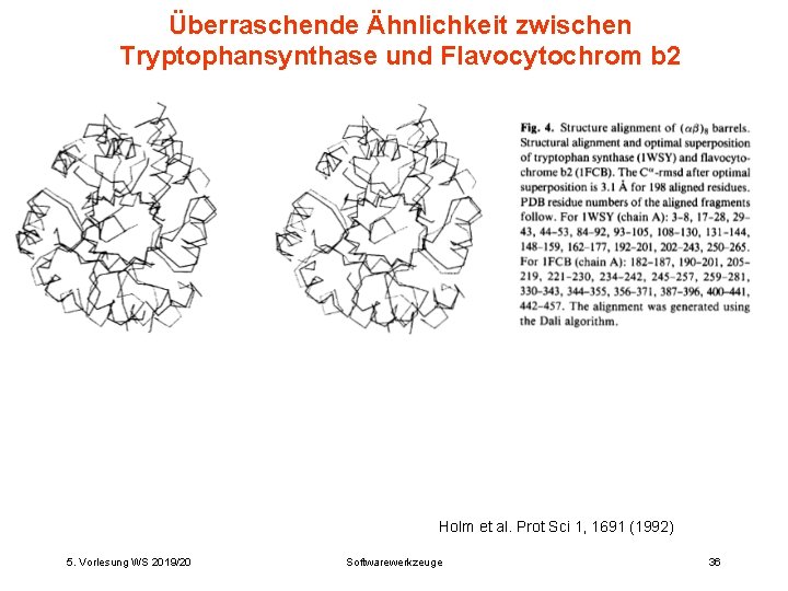 Überraschende Ähnlichkeit zwischen Tryptophansynthase und Flavocytochrom b 2 Holm et al. Prot Sci 1,