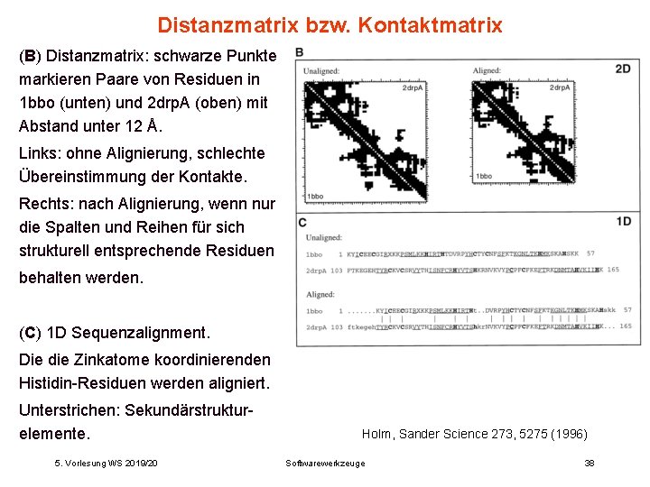 Distanzmatrix bzw. Kontaktmatrix (B) Distanzmatrix: schwarze Punkte markieren Paare von Residuen in 1 bbo