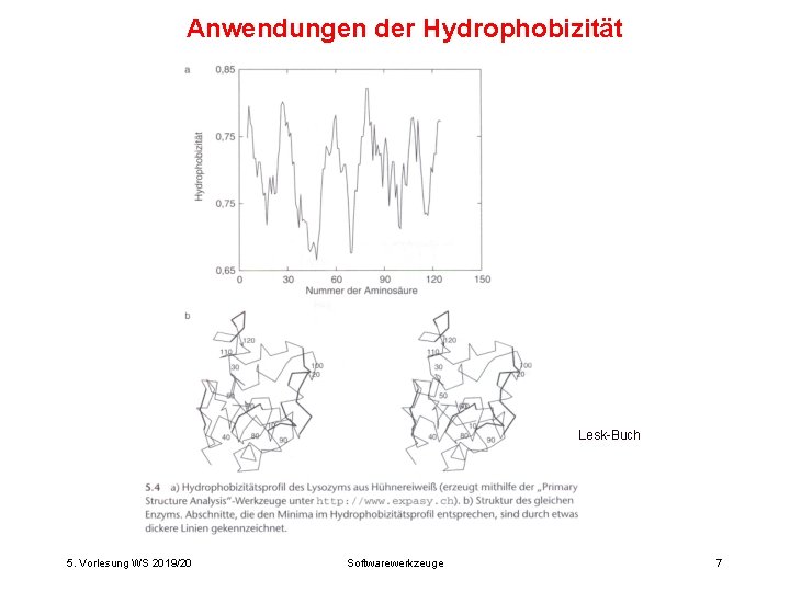 Anwendungen der Hydrophobizität Lesk-Buch 5. Vorlesung WS 2019/20 Softwarewerkzeuge 7 