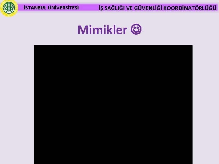 İSTANBUL ÜNİVERSİTESİ İŞ SAĞLIĞI VE GÜVENLİĞİ KOORDİNATÖRLÜĞÜ Mimikler 