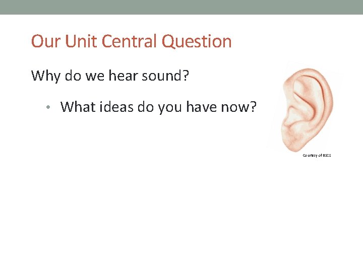 Our Unit Central Question Why do we hear sound? • What ideas do you