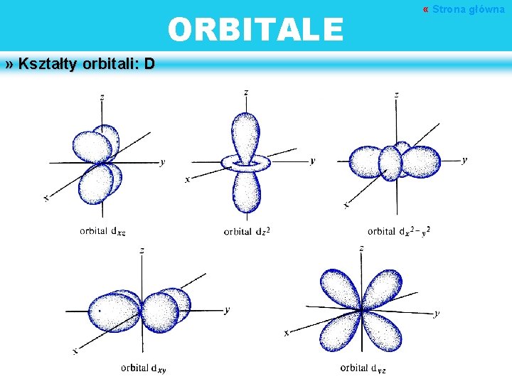 ORBITALE » Kształty orbitali: D « Strona główna 