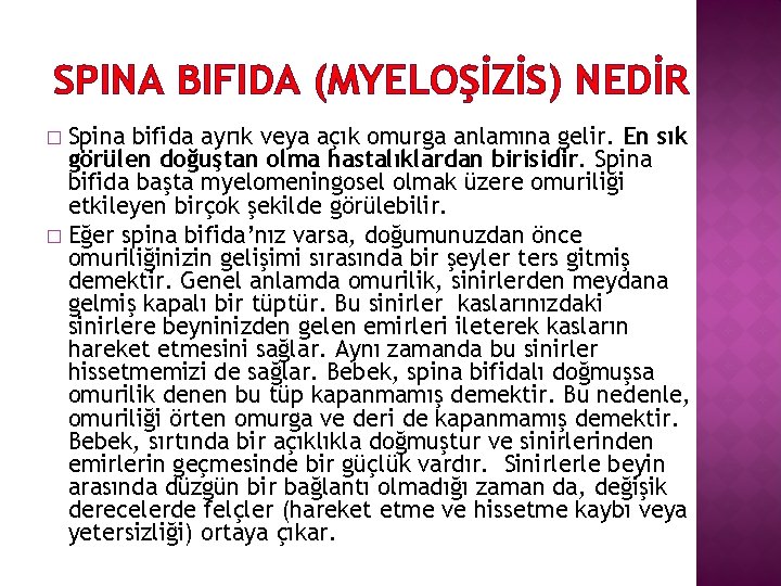 SPINA BIFIDA (MYELOŞİZİS) NEDİR Spina bifida ayrık veya açık omurga anlamına gelir. En sık