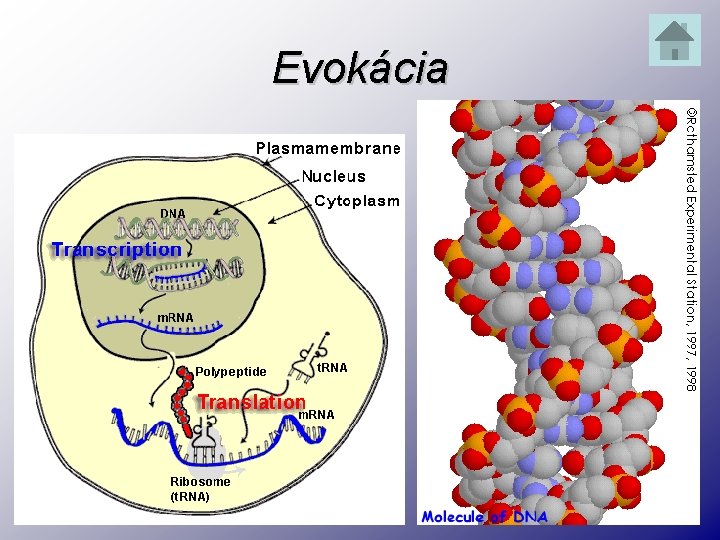 Evokácia 