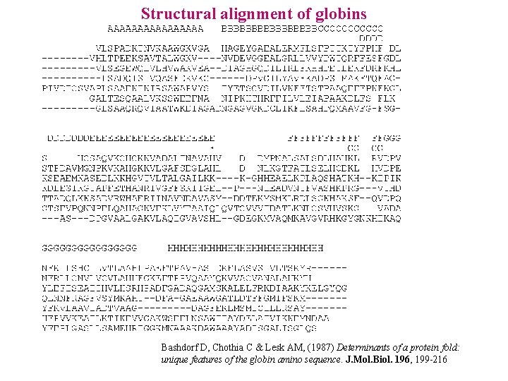 Structural alignment of globins Bashdorf D, Chothia C & Lesk AM, (1987) Determinants of