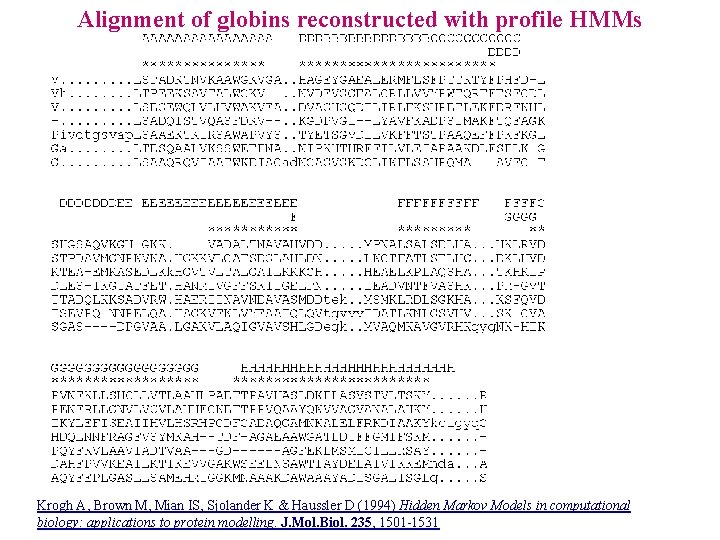 Alignment of globins reconstructed with profile HMMs Krogh A, Brown M, Mian IS, Sjolander