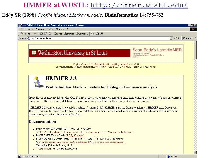 HMMER at WUSTL: http: //hmmer. wustl. edu/ Eddy SR (1998) Profile hidden Markov models.
