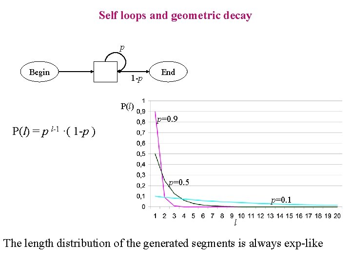 Self loops and geometric decay p Begin 1 -p End P(l) p=0. 9 P(l)