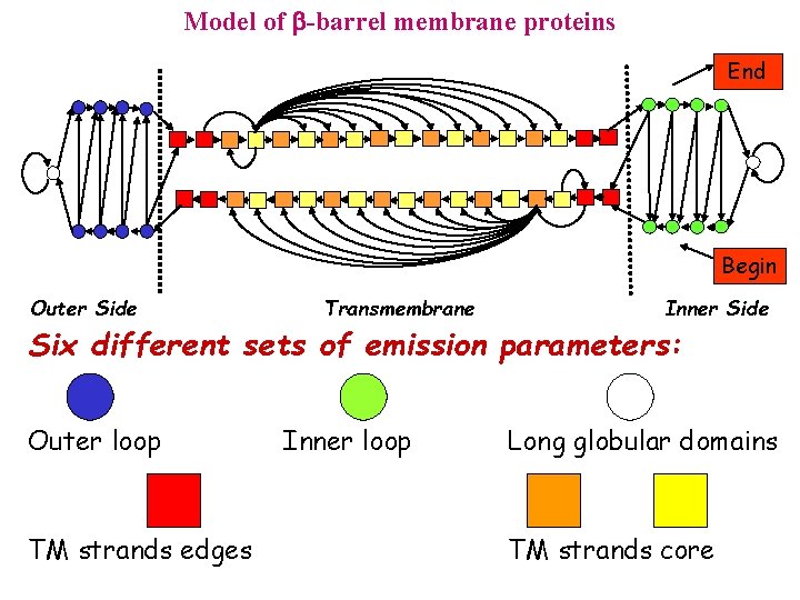 Model of -barrel membrane proteins End Begin Outer Side Transmembrane Inner Side Six different
