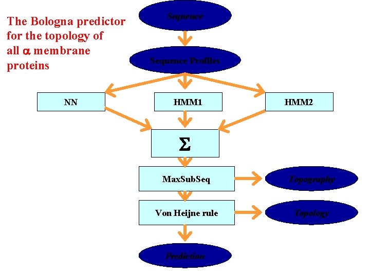 The Bologna predictor for the topology of all membrane proteins NN Sequence Profiles HMM