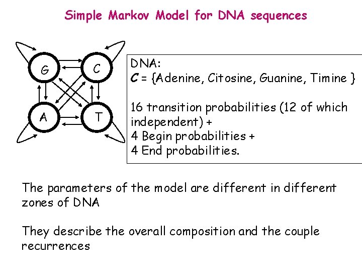 Simple Markov Model for DNA sequences G A C T DNA: C = {Adenine,