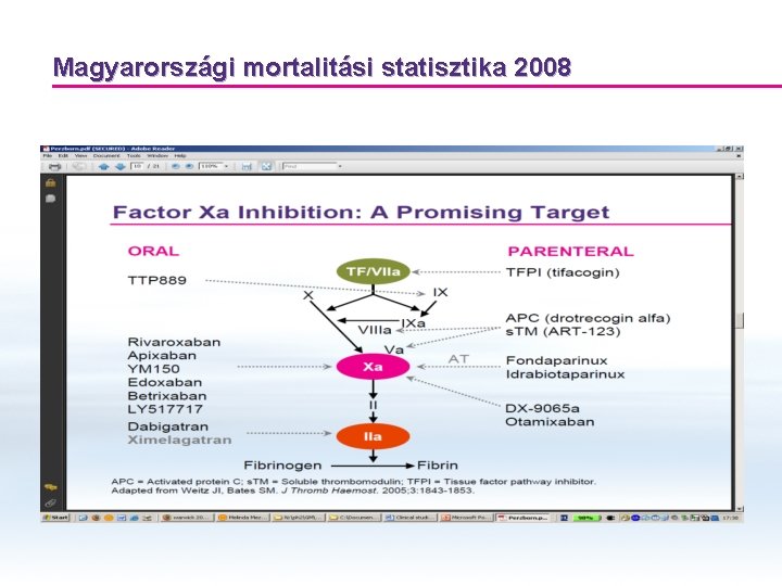 Magyarországi mortalitási statisztika 2008 
