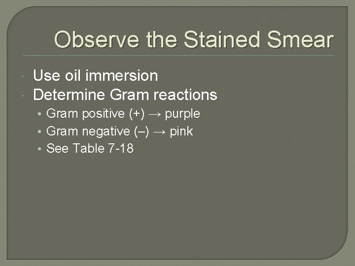 Observe the Stained Smear Use oil immersion Determine Gram reactions • Gram positive (+)
