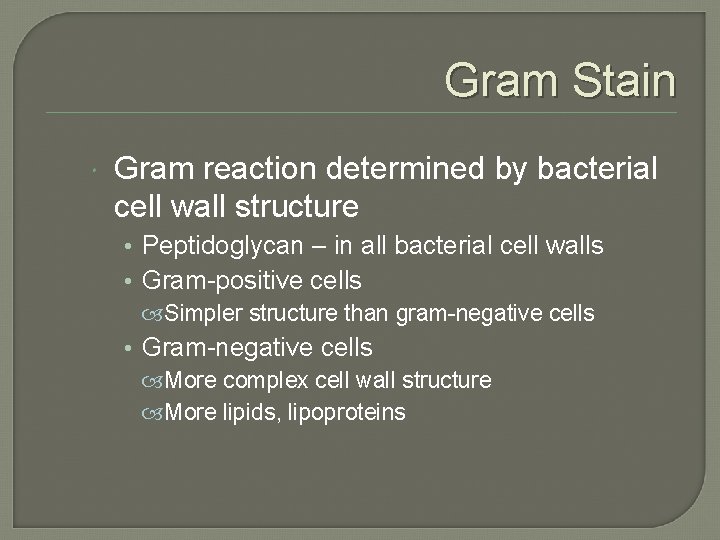 Gram Stain Gram reaction determined by bacterial cell wall structure • Peptidoglycan – in
