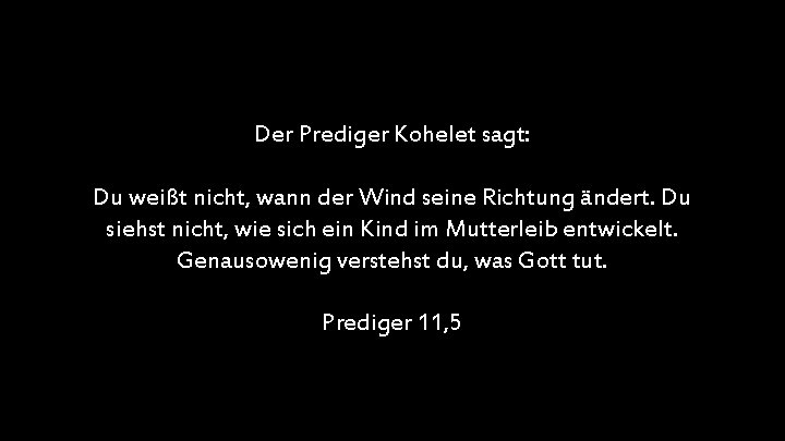 Der Prediger Kohelet sagt: Du weißt nicht, wann der Wind seine Richtung ändert. Du