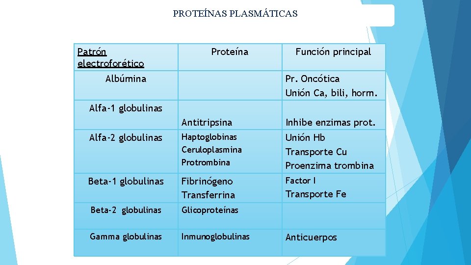 PROTEÍNAS PLASMÁTICAS Patrón electroforético Proteína Albúmina Función principal Pr. Oncótica Unión Ca, bili, horm.