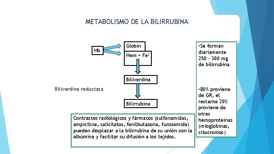 METABOLISMO DE LA BILIRRUBINA Hb Globin a Hem + Fe 3 • Se forman